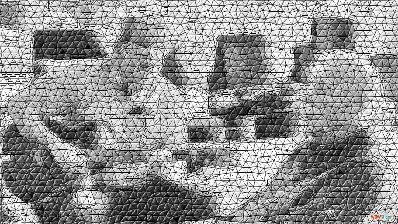 63Impressionen